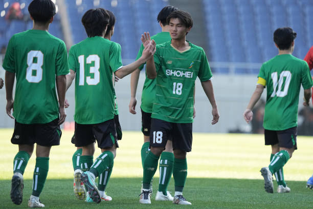 增加多样化 增加多样化