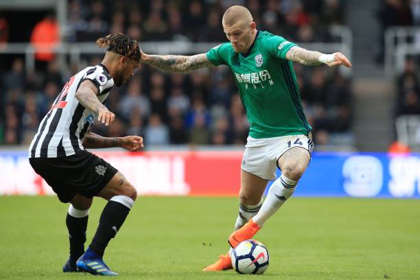 过引进年轻 过引进年轻