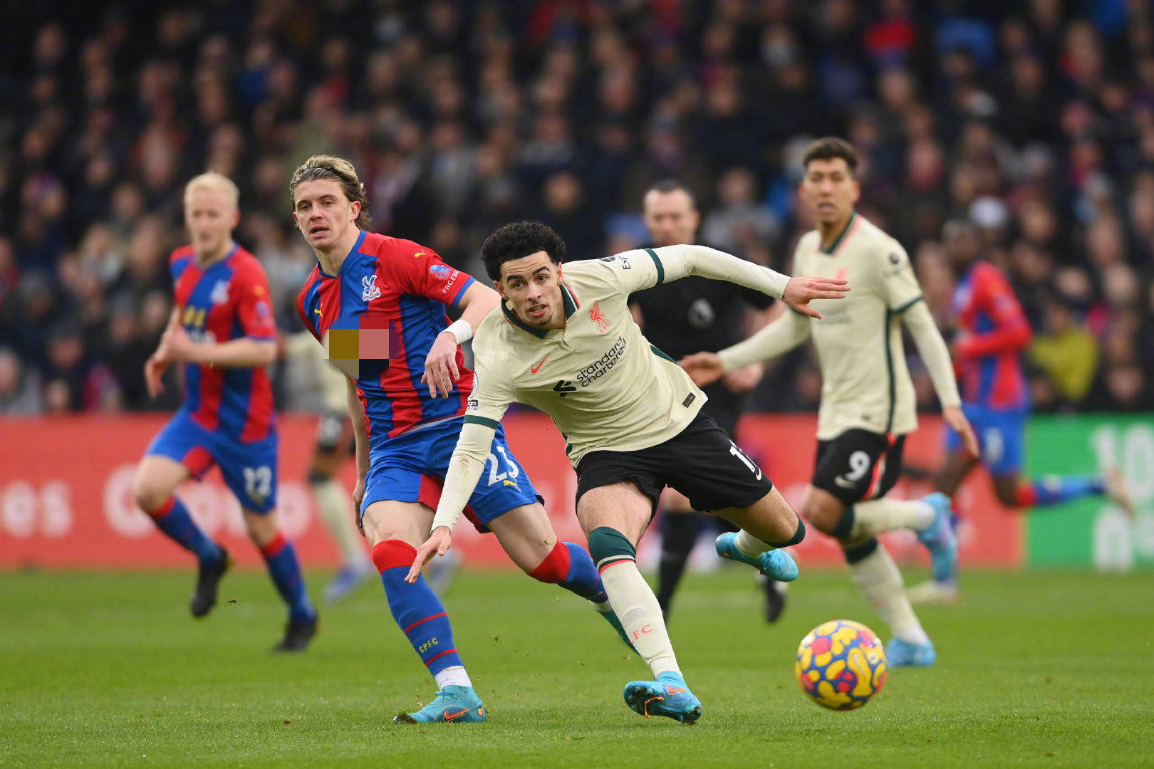 为球队长远 为球队长远