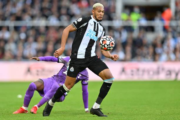 霍维奇将迎 霍维奇将迎