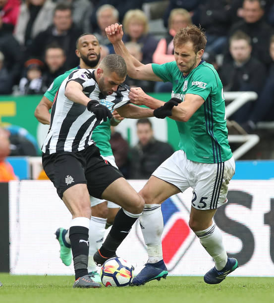 与粉丝互动 与粉丝互动